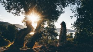أشرب ملعقة كبيرة من زيت الزيتون البكر كل صباح، وهذه هي الفوائد