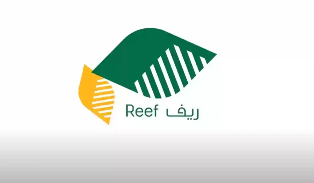 طريقة الاستعلام عن أهلية ريف وشروط الاستفادة من البرنامج وأسباب الرفض