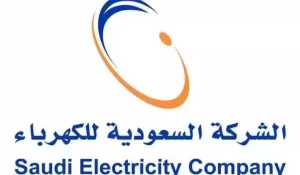 طباعة فاتورة الكهرباء pdf برقم الحساب ورقم المشترك