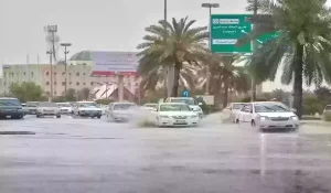 تغيرات كبرى في درجات حرارة المناطق السعودية… أمطار وضباب ورياح على تلك المناطق