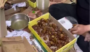 ضبط وافد عربي في الرياض!! حول شقته إلى مكان للمخالفات والسبب غريب ومفاجئ