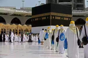مجلس تنسيق منشآت خدمة حجاج الداخل يعلن… وظائف شاغرة بمرتبات مجزية وشروط سلسة