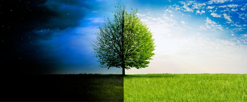 تم فضح أساطير الاعتدال – من البيض إلى تساوي الليل والنهار