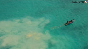 تتهم الفلبين الصين بنهب المحار العملاق في المياه الضحلة المتنازع عليها