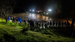 تستعد إدارة بايدن لاقتراح قاعدة من شأنها أن ترفض بسرعة المهاجرين غير المؤهلين للحصول على اللجوء