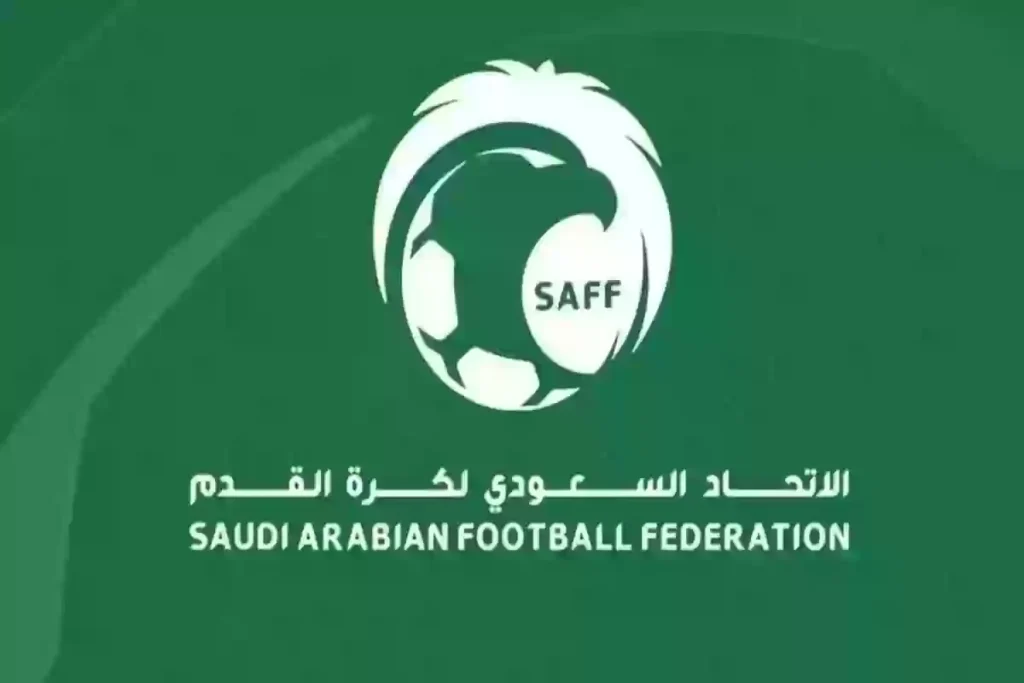 “الكرة السعودية” تسجل تاريخ كروي لأجيال قادمة معتمدة على 13 مصدر!