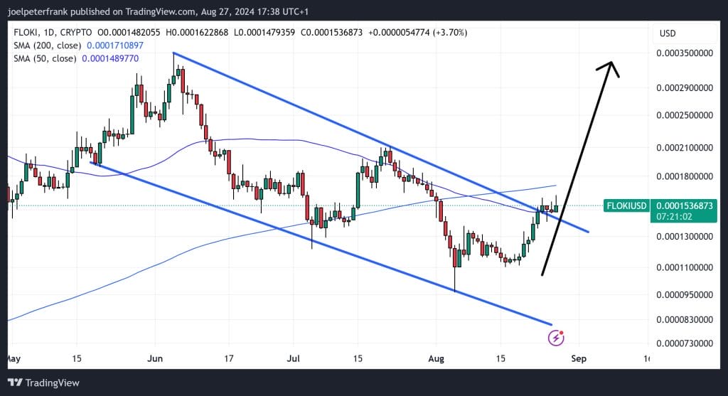سعر Floki ارتفع بنسبة 27% في أسبوع، هل سيأتي مستوى قياسي جديد قريبًا؟