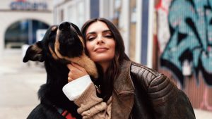 10 محررين من مجلة Vogue يتحدثون عن أساسيات الكلاب التي لا يمكنهم (وأصدقائهم ذوي الأرجل الأربعة) العيش بدونها