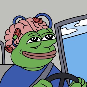 الحيتان تشتري عملة البيتكوين عند الانخفاض وتستمر في الخوف من تفويت الفرصة في Pepe Unchained، تم جمع أكثر من 11.9 مليون دولار