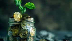 تظهر أبحاث بنك الاحتياطي الفيدرالي ركود ملكية العملات المشفرة على الرغم من انتعاش السوق