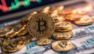 يجد الاستطلاع أن مستثمري العملات المشفرة يفضلون استراتيجية متوسط تكلفة الدولار