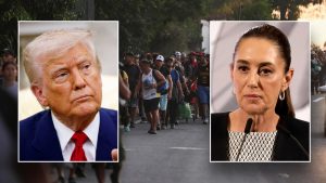 الرئيس المكسيكي يرفض عرض ترامب للقوات الأمريكية لمكافحة عصابات المخدرات