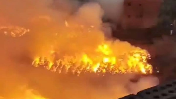 حريق كتان الغربية يحول الليل إلى نهار.. النيران تبتلع 1000 فدان وتصيب 17 شخصًا| صور