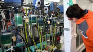 يقول الرؤساء إن أوروبا يجب أن تتخلى عن الجهود المبذولة لمنافسة صناعة البطاريات في الصين