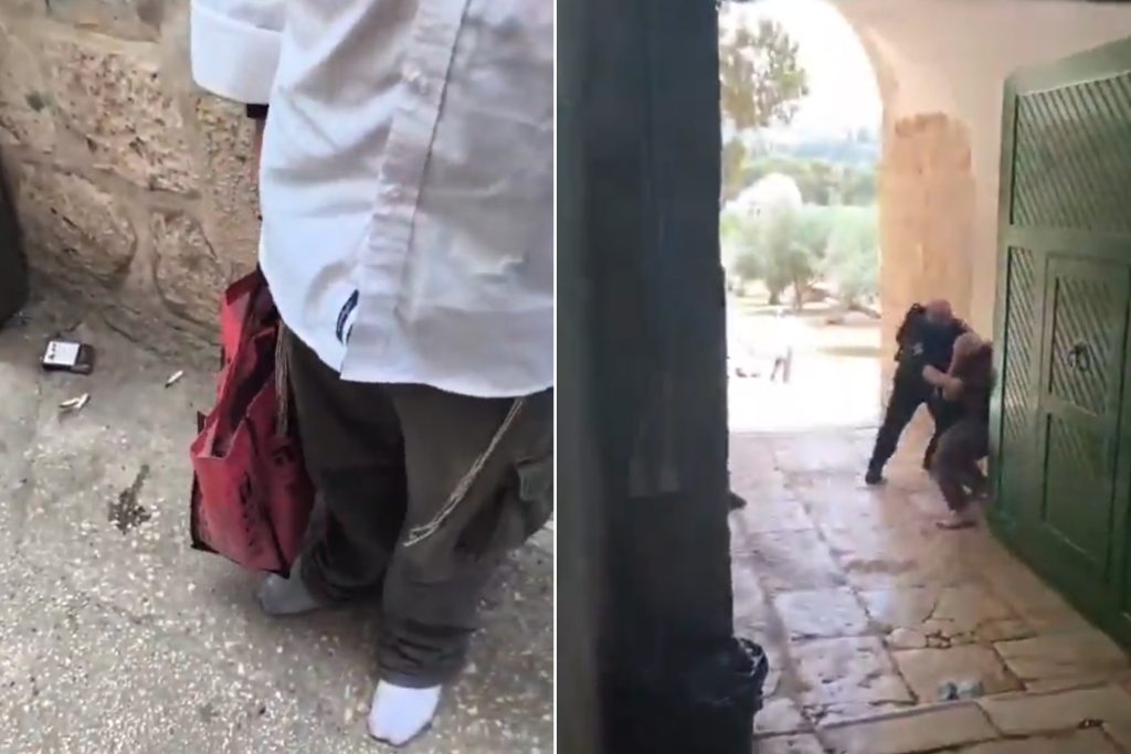 لأول مرة.. مستوطنون يُدخلون قربانا حيوانيا للأقصى