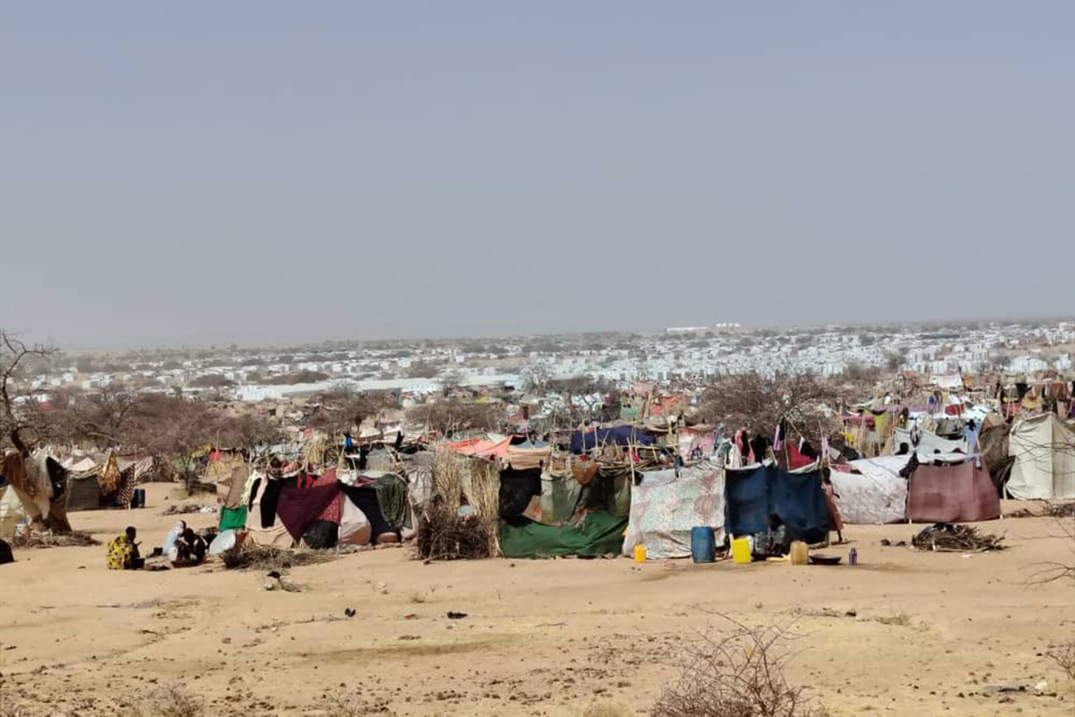 هل تنجح تشاد في إنقاذ مستقبل طلاب السودان اللاجئين؟