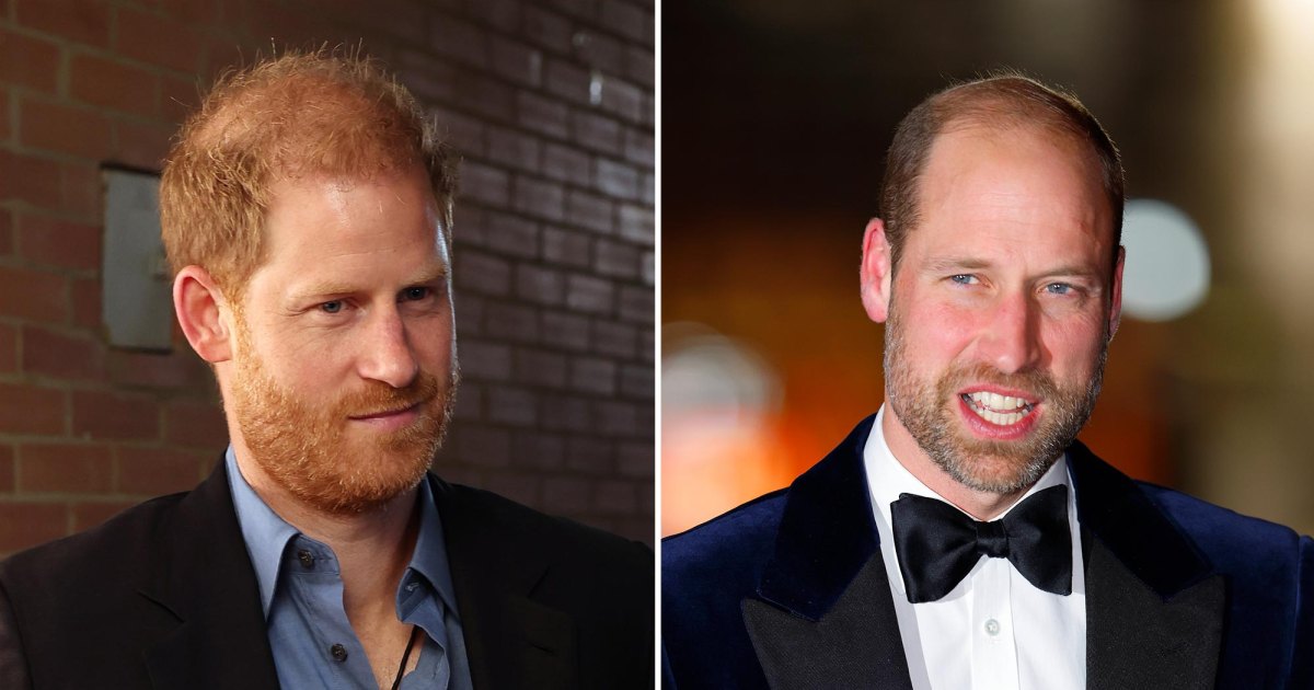 الأمير وليام والأمير هاري ريفت ريفت هناك لا يعود إلى الوراء 2166961800 2178846807