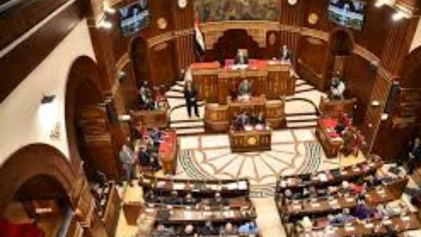 22 مرشحا .. الأسماء النهائية للمتنافسين بانتخابات مجلس الشيوخ في الدقهلية