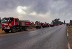 4 قتلى في تحطم طائرة تابعة للدفاع المدني بالجزائر