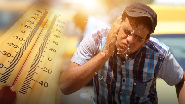 الإفتاء توضح ثواب السعي على طلب الرزق في اليوم شديد الحر