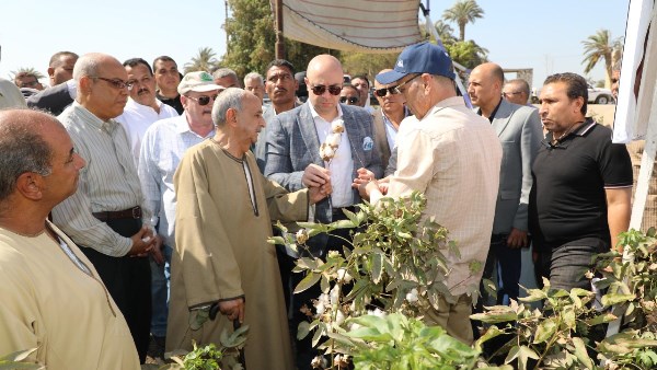 محافظ بني سويف يفتتح موسم جمع القطن لعام 2025... ويُهنئ المزارعين