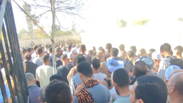 حكاية عمار.. طفل سوهاج يرحل شهيدًا للشجاعة ببورسعيد