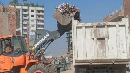 برلمانية: التعاون مع الوكالة الألمانية خطوة استراتيجية لتطوير منظومة المخلفات الصلبة