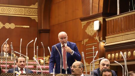 برلماني يطالب وزير النقل بإنارة الطريق الدولي ببرج البرلس ووضع حلول عاجلة للحوادث المتكررة