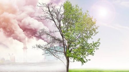 قبل انطلاق COP30 بالبرازيل.. تحقيق الاستعادة البيئية في أفريقيا