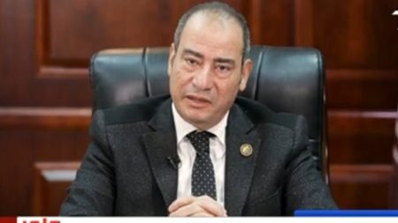 برلماني: مصر بقيادة الرئيس السيسي تثبت مجددًا أنها صمام أمان المنطقة