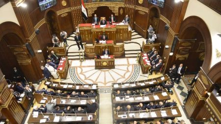 بالأسماء.. ننشر نتيجة انتخابات اللجان النوعية بمجلس الشيوخ