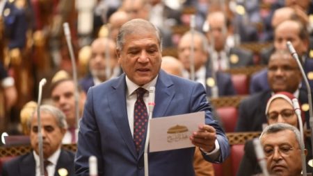 بعد اختياره وكيلاً لخارجية الشيوخ.. عفت السادات: سنواصل دعم الدبلوماسية المصرية