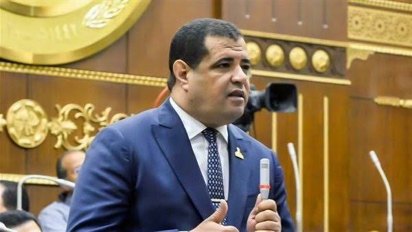 برلماني: لقاء الرئيس السيسي بالطفلة ريتاج تُجسد عُمق الوجدان المصري تجاه فلسطين