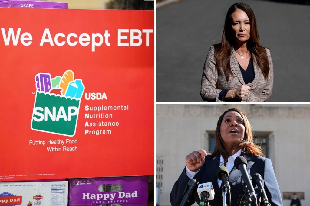 26 ولاية ترفع دعوى قضائية ضد وزارة الزراعة الأمريكية للحفاظ على استمرار برنامج SNAP أثناء الإغلاق