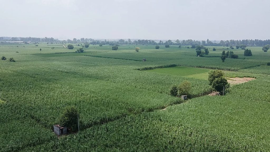 الاتحاد الأوروبي يسعى للاستفادة من المنتجات الطبيعية لتعزيز القدرة التنافسية، وفقًا لمجموعات بيئية.