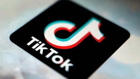 تحقق من الحقائق: هل تستخدم الصين تطبيق تيك توك (TikTok) لتقليل ذكاء الأطفال الأوروبيين؟