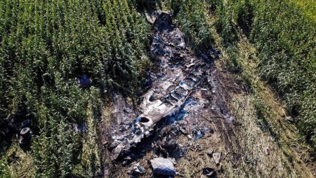 تحطم طائرة شحن تابعة لـ«يو بي إس» في كنتاكي يربك سلاسل التوريد مؤقتًا