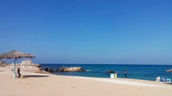 قيادي بالجبهة الوطنية: صفقة علم الروم تؤكد قوة الاقتصاد المصري