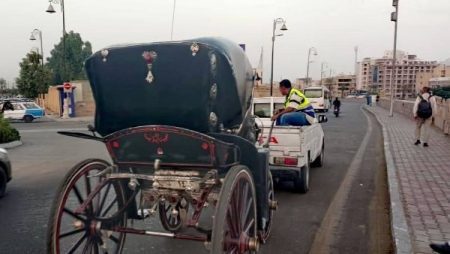 استرداد 2 فدان من أملاك الدولة بالأقصر والتحفظ على 3 حناطير مخالفة