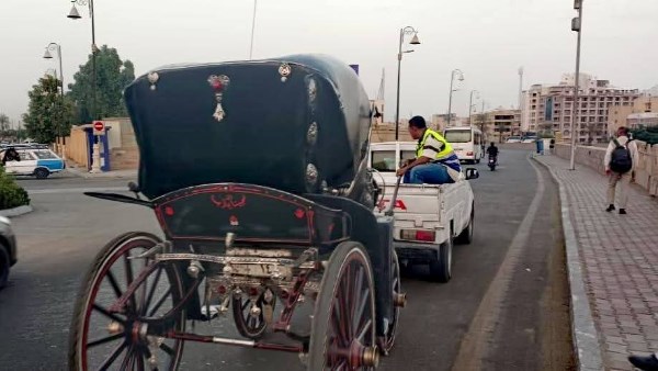 استرداد 2 فدان من أملاك الدولة بالأقصر والتحفظ على 3 حناطير مخالفة