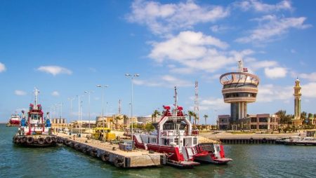 ميناء دمياط يستقبل 13 سفينة حاويات وبضائع عامة