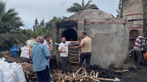 غلق ١٢ مكمورة  فحم مخالفة خلال حملة بدمياط