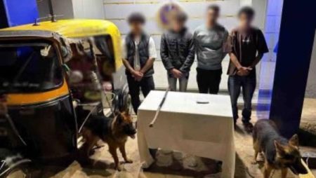 بالأسلحة البيضاء والكلاب الشرسة.. القبض على طرفى مشاجرة بالغربية