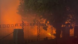 سيطرة وعمليات تبريد.. التفاصيل الكاملة لحريق المتحف الزراعي بالدقي