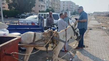 رئيس حي جنوب الغردقة يضبط مخالفات بيئية ويُتابع أعمال التطوير بشارع الحجاز