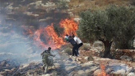 الاحتلال يقتحم مخيم الفوار ومستوطنون يضرمون النار فى أراض زراعية جنوب نابلس