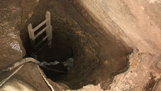 اكتشاف أثري جديد يعيد كتابة تاريخ الأمريكتين.. ماذا وجد العلماء؟