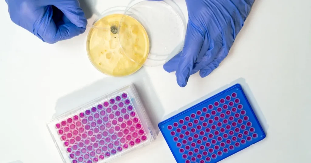 اكتشاف آلية جديدة وراء مقاومة البكتيريا للمضادات الحيوية