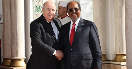 الجزائر والصومال: ندعم الشعب الفلسطيني واستقلاله ضمن حدود 1967