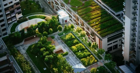 التحول الصحي السعودي يحقق نموذجاً عالمياً للوقايةاعتمدت منظمة الصحة العالمية 16 مدينة صحية سعودية ضمن رؤية 2030، لتعكس نموذجاً متقدماً في الوقاية وتمكين المجتمع. المدن تجمع بين الصحة الجسدية والنفسية والاجتماعية، ورفع متوسط العمر المتوقع، وخفض الأعباء الصحية والاقتصادية، لتؤكد مكانة المملكة عالميًا في بناء مدن مستدامة وصحية متكاملة.13 نوفمبر 2025 14:31